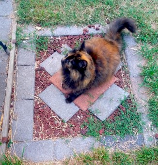 Smudge Portal takeoff 1