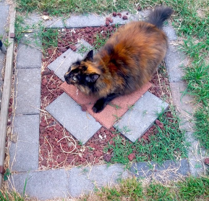 Smudge Portal takeoff 2